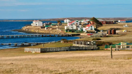 malvinas2.jpg