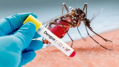 El Ministerio de Salud de la Nación confirmó la circulación de un nuevo serotipo de dengue