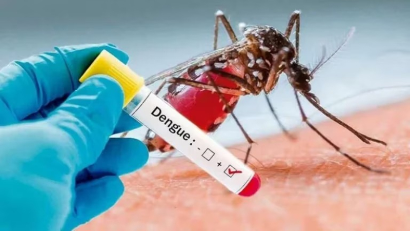 El Ministerio de Salud de la Nación confirmó la circulación de un nuevo serotipo de dengue