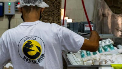 El Senasa realizará una tercera prueba en el establecimiento de Avícola Santa Ana