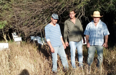 Los pequeños productores de miel, en la encrucijada