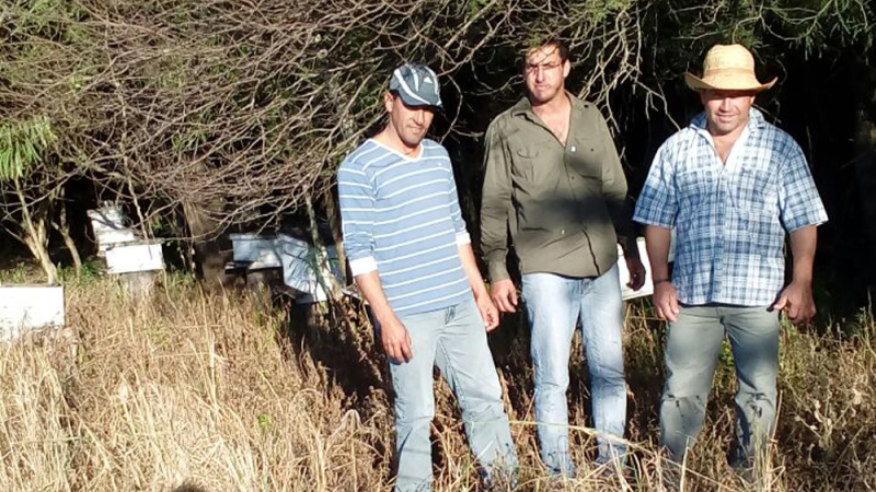 Los pequeños productores de miel, en la encrucijada