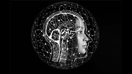 cerebro (1) (1).jfif
