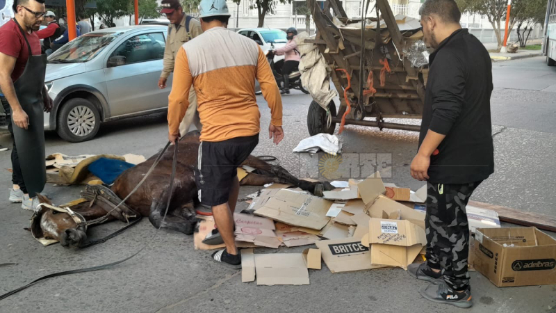 Maltrataba a un caballo en la vía pública y fue detenido