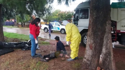 Chaqueño invencible: descansaba bajo un árbol y le cayó un rayo