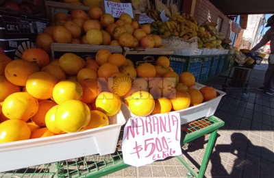 En el inicio de temporada afloja el precio de la naranja