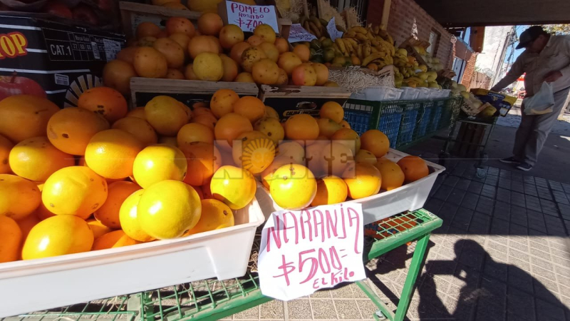 En el inicio de temporada afloja el precio de la naranja