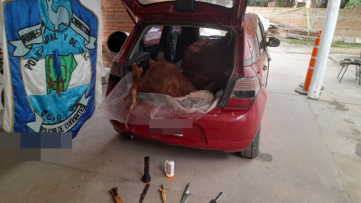 Goya: trasladaban un bovino seccionado en un automóvil