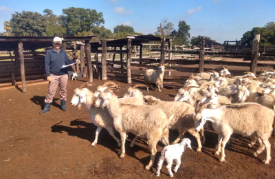 La historia detrás de una mujer rural: cría cabras y sueña con un tambo caprino