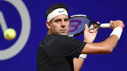 delpo.jpg