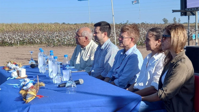 El INTA Sáenz Peña logra semilla tolerante a herbicidas