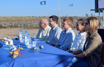 El INTA Sáenz Peña logra semilla tolerante a herbicidas