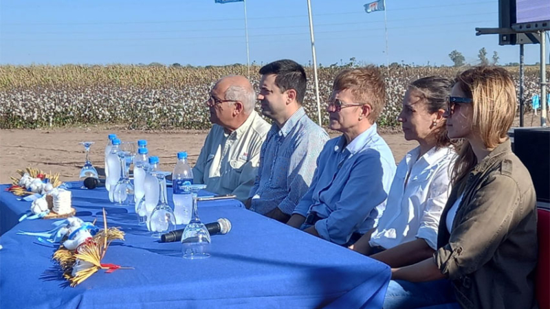 El INTA Sáenz Peña logra semilla tolerante a herbicidas