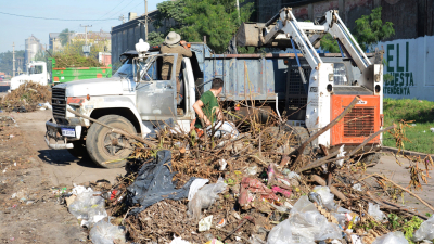 Dengue: el municipio realizó operativos de fumigación en más de 190 barrios