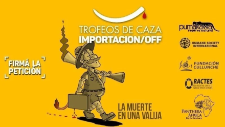 Sin títulowewwe.png