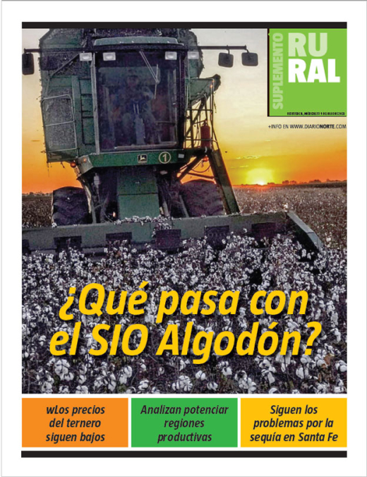 ¿Qué pasa con el SIO Algodón?