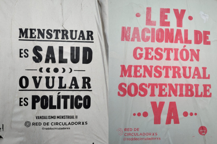 image-1.jpg