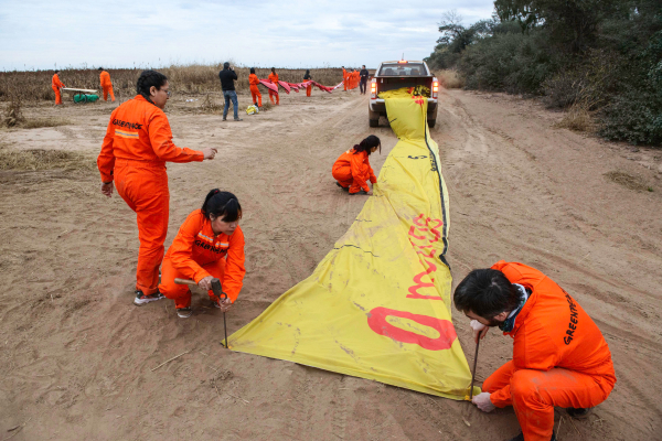 © Martin Katz / Greenpeace