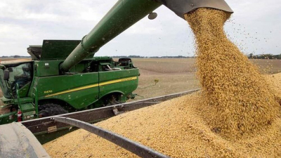 La producción de soja del norte santafesino cayó un 50%