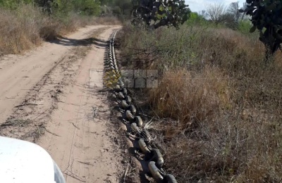 Asusta: en el Chaco se desmontarían 1000 hectáreas con cadenas