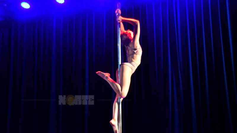 "Fuerza Natural": pole dance en tributo a Cerati