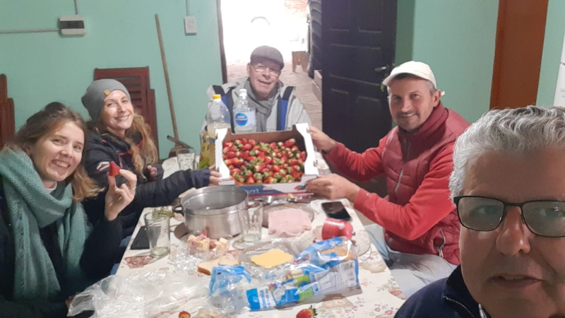 Se inició la cosecha de frutillas