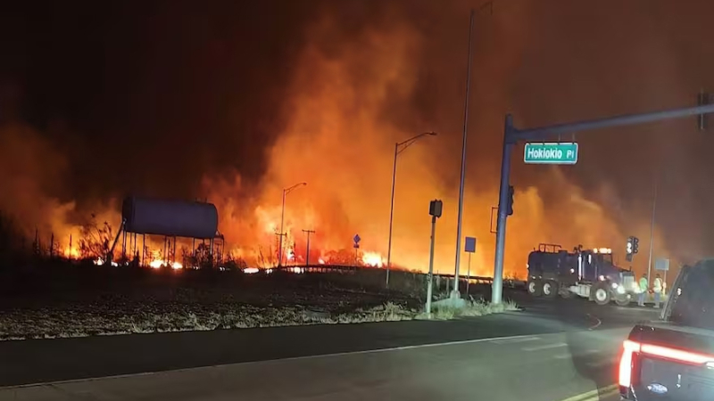 Desesperación en Hawai por los incendios forestales en una isla paradisíaca