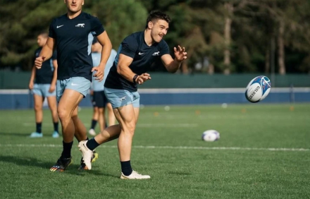 pumas.jpg