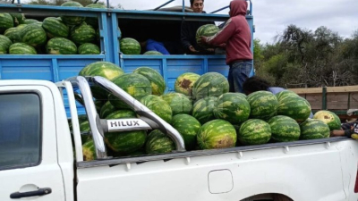 Formosa envió a Buenos Aires las primeras 60 toneladas de sandías