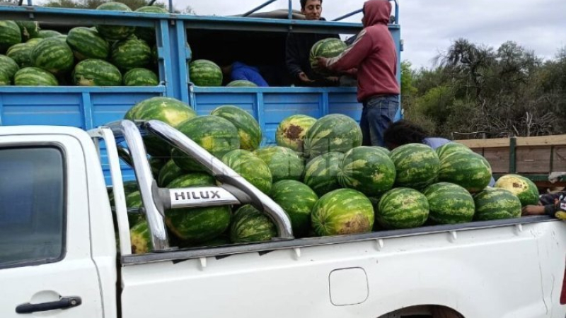 Formosa envió a Buenos Aires las primeras 60 toneladas de sandías