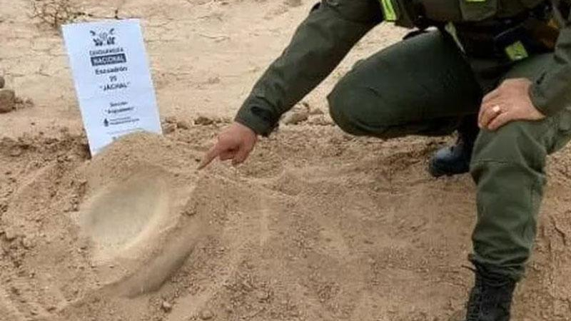 Hallaron una antigua conana a la vera de un camino en San Juan