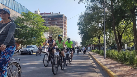 muchas bicis 8.jfif