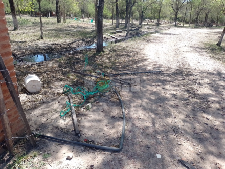 dos campo.JPG