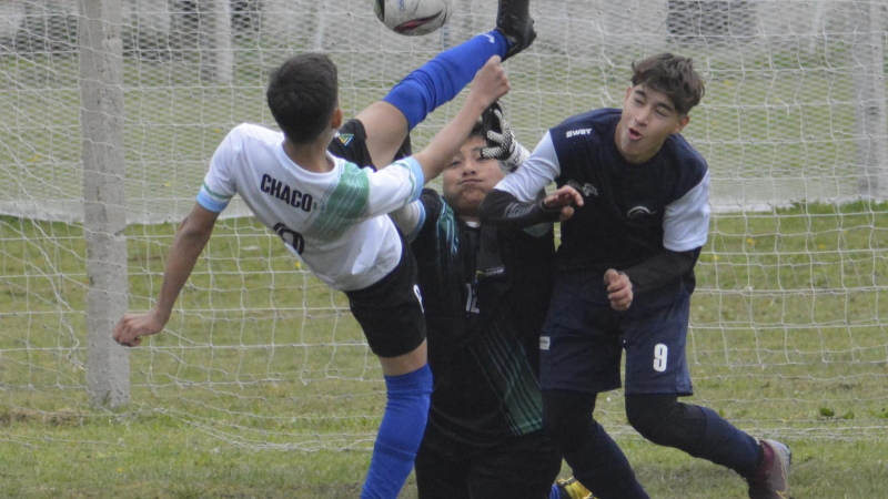 Con 73 medallas, el Chaco obtuvo el octavo puesto en los Juegos Nacionales Evita