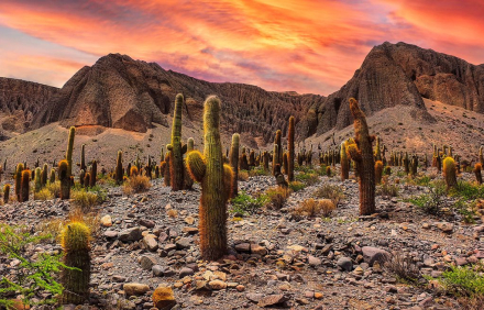 Destino salta3.jpg