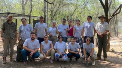 Campaña solidaria para el próximo operativo sanitario de veterinarios en El Impenetrable