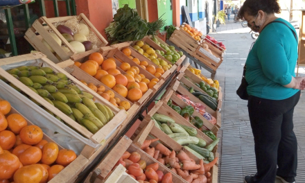 frutas y verduas impagables.jpg