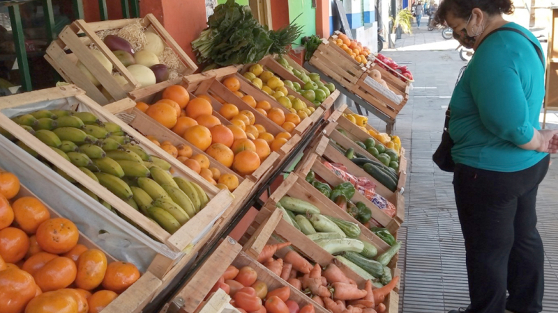 Apuntan a lograr un buen manejo de alimentos de la agricultura familiar