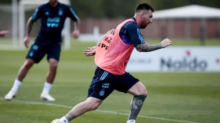 seleccion.jpg