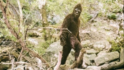 Una pareja grabó a un "Pie Grande" caminando en un bosque