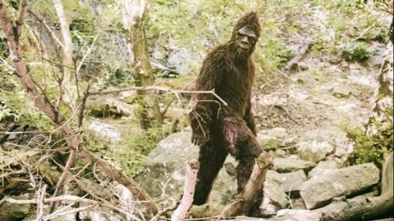 Una pareja grabó a un "Pie Grande" caminando en un bosque