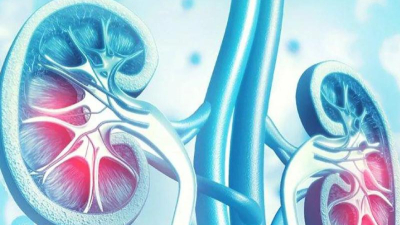 Las personas con diabetes tipo 2 deberían controlar sus riñones