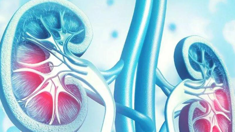 Las personas con diabetes tipo 2 deberían controlar sus riñones