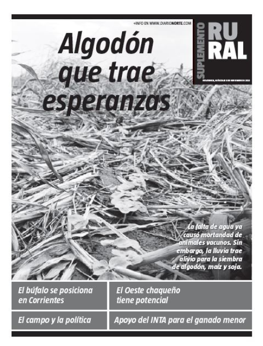 Algodón que trae esperanzas