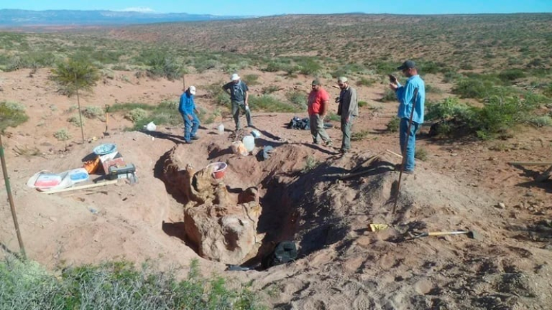 Descubrieron una nueva especie de dinosaurio con el cuerpo "casi completo" en la Patagonia