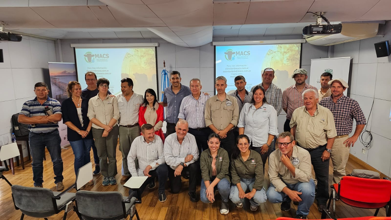 Impulso de Yacyretá a la producción de búfalos en el NEA