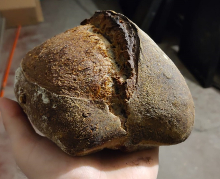 PAN MASA MADRE.jpeg