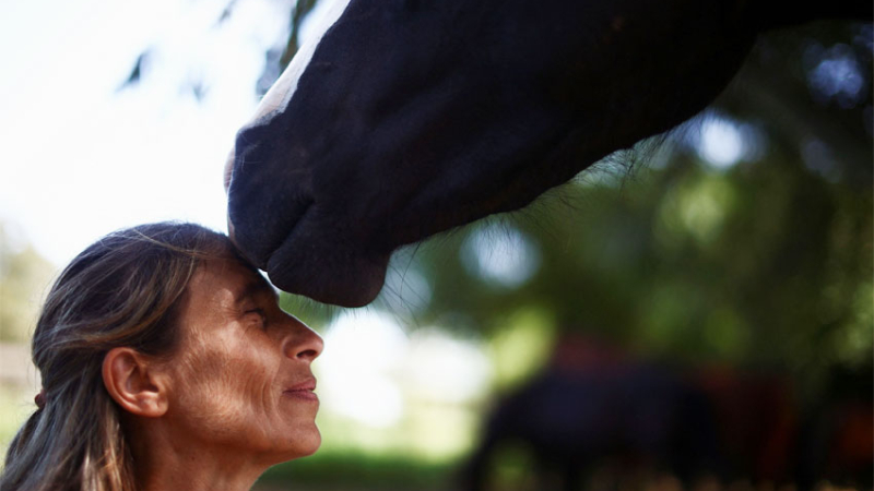 La mujer que brinda un hogar a los caballos abandonados