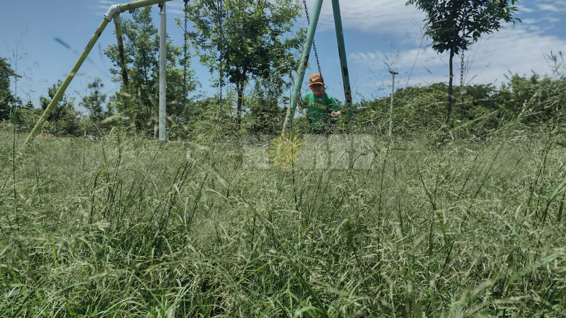 El parque de Democracia es otra postal del abandono en la capital chaqueña