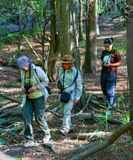 chaco12.jpg